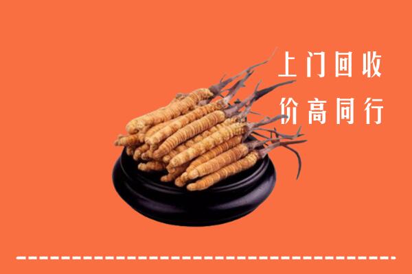 高价求购：克拉玛依独山子回收散虫草