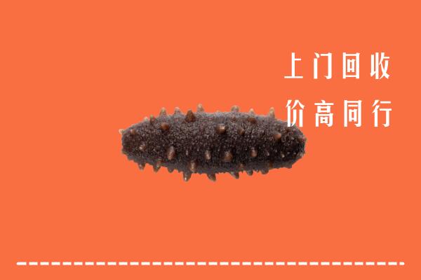 克拉玛依独山子回收海参