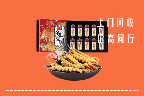 收购行情：克拉玛依独山子回收虫草